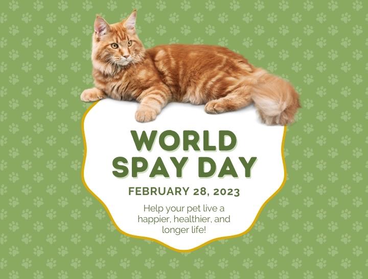 World Spay Day